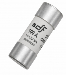 100A 22mm x 58mm FUSE LFN22G100