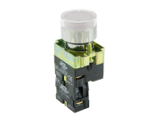 SCL 22mm ILLUMINATED P/BUTTON LED CLEAR + 1 NO 110/230VAC
