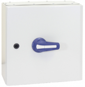 TELERGON ON-OFF SWITCH FUSE 100A 3P+N IP65 METAL ENC+FUSES